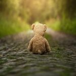 LonelyTeddy
