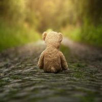 LonelyTeddy